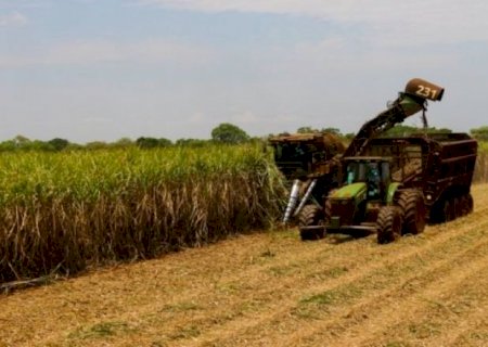 Mato Grosso do Sul exportou US$ 312 milhões em produtos sucroenergéticos