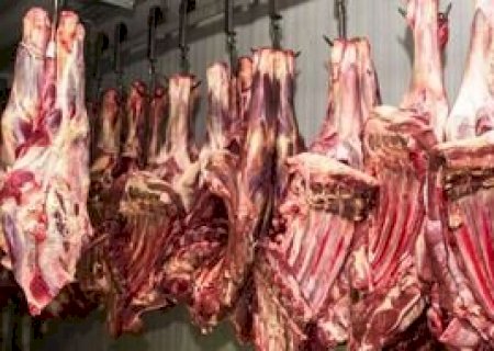 Exportação de carne bovina soma 573 mil toneladas no 3º trimestre, maior volume em 25 anos