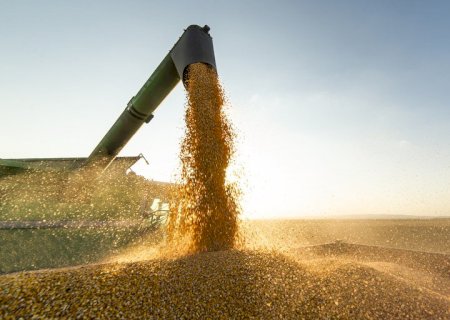 Valor interno do milho enfraquece enquanto vendas externas seguem intensas