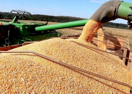 Itens industrializados impulsionam crescimento das Exportações de MS