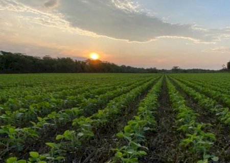 IBGE revisa crescimento do PIB de 2021 de 4,6% para 5,0% com peso maior do agro