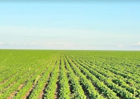 Chega ao mercado primeiro fertilizante com tecnologia restauradora da biodiversidade do solo