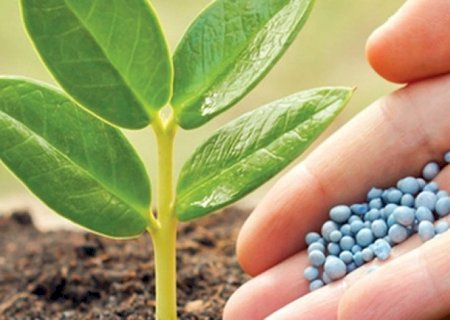 Fertilizantes: Entregas até setembro caíram 105%, a 30,1 milhões de t