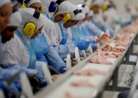 China e Indonésia habilitam frigoríficos brasileiros para exportação