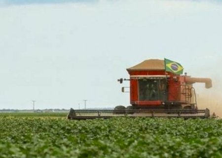 Agronegócio brasileiro assegura emprego para 20 milhões de trabalhadores