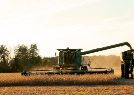 Mato Grosso do Sul pode ter safra recorde de soja após quebra de produção no ciclo anterior