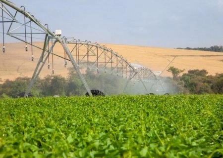 Área irrigada cresce em 2022 e entre os destaque está a pecuária de pastagem