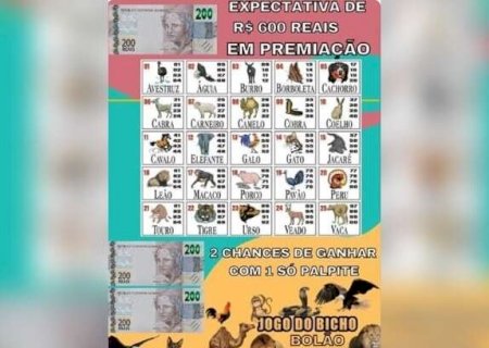 Firme e forte, jogo do bicho migra para grupos de WhatsApp como 'bolão'