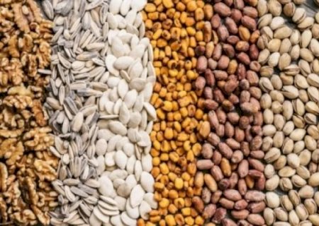 Estudo da Conab avalia papel da perda de grãos na redução do desperdício de alimentos