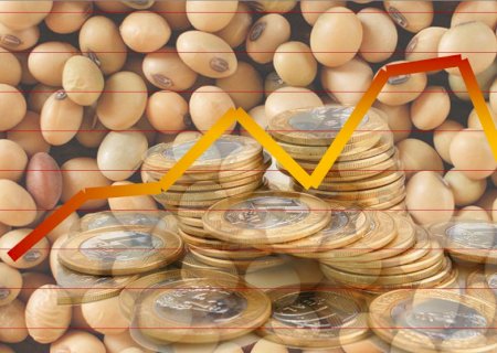 Alta do dólar deixa soja estável no Brasil; semana teve 200 mil ton negociadas