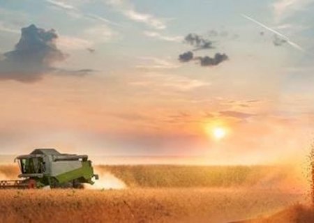Safra será gorda, mas com margens menores, aponta consultoria
