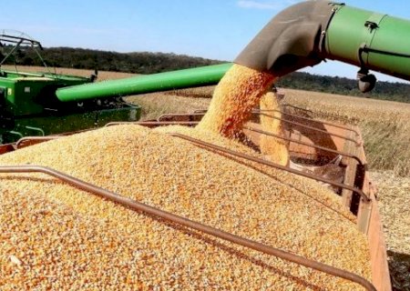 MS pode registrar novo recorde de área plantada e produtividade da soja safra 2022/2023