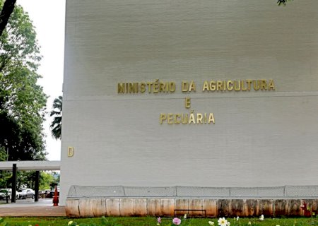 Relacionamento com o BNDES vai ser muito bom, diz assessor especial do Mapa