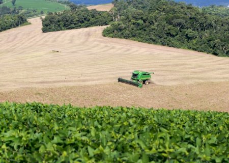 Valor da Produção Agropecuária previsto para 2023 tem o melhor resultado em 34 anos