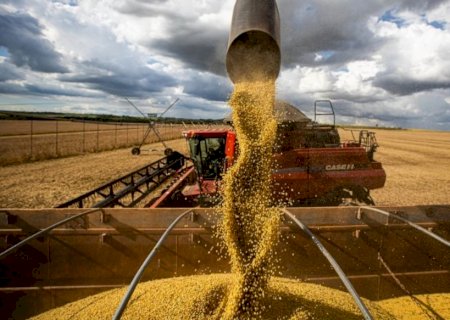 Agronegócio no Brasil dá salto em 20 anos e hoje equivale ao PIB da Argentina