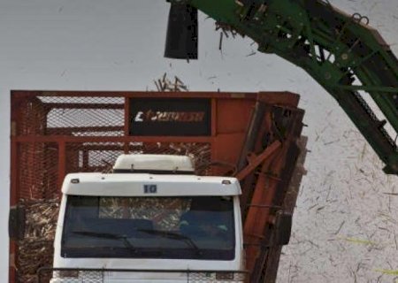 Setor sucroenergético precisa de mais inovação além de tributação favorável