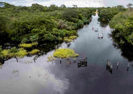 Após anos de estiagem, águas cobrem estradas e criam cenas de 'tirar o fôlego' no Pantanal