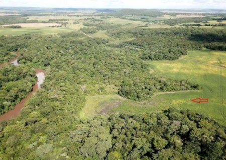 Assentado é multado em R$ 20 mil por lavoura em área protegida