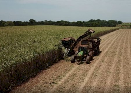 Moagem da cana atinge 43,5 milhões de toneladas em MS.