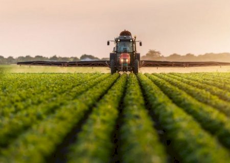 Fertilizantes especiais hidrossolúveis agregam eficiência à produção agrícola