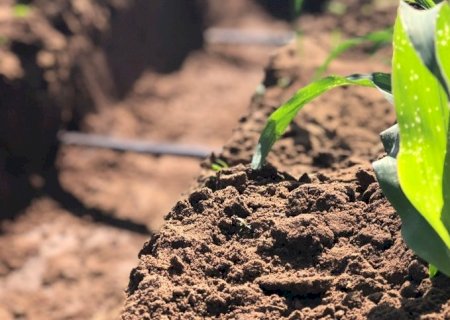 Irrigação pode ser agente mitigador da seca no sul do Brasil
