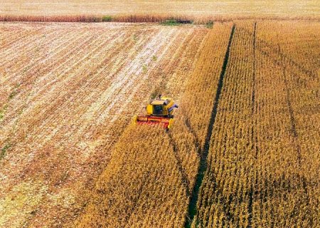 Milho e celulose puxam balança comercial que fecha com superávit de US$ 476 milhões no Estado