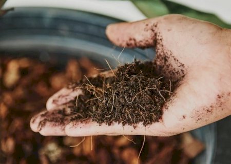 Fertilizantes: Índice de Poder de Compra tem melhora em fevereiro