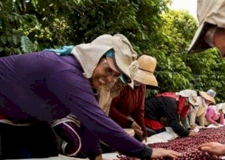Exportações abrem espaço para trabalho feminino no agro