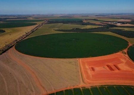 Apoiado em safra recorde, agro deve crescer 2,5% em 2023