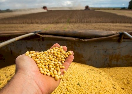 Brasil deve exportar 14,8 milhões de toneladas de soja em março, projeta Anec