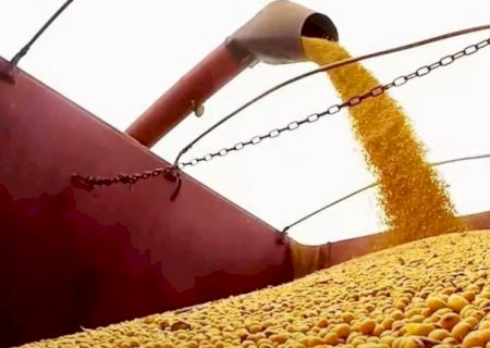 Produtores brasileiros vendem soja por medo de novas quedas