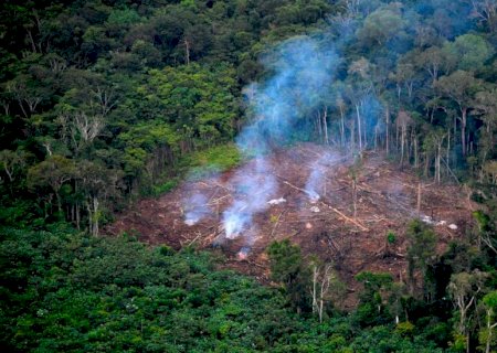 Desmatamento na Amazônia triplica em março