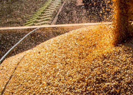 China abre novo mercado para produto brasileiro de origem animal