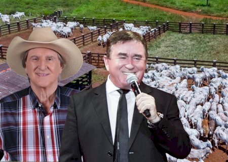 Sérgio Reis revela quantos bois Amado Batista abate por ano