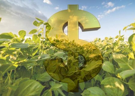 Plano Safra: CNA quer redução de juros e R$ 403 bilhões em crédito rural