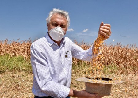 Em decisão liminar, STF suspende taxa do agro em Goiás