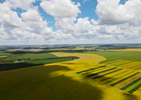 Seguro rural: estudo aponta desafios em meio a mudanças climáticas