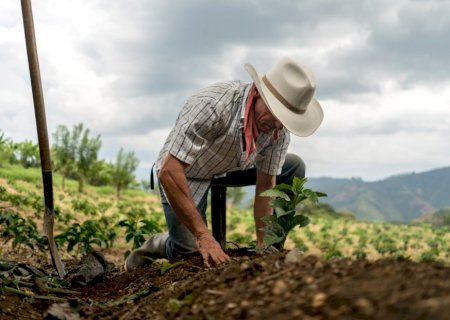 Agronegócio no Brasil gera mais de 350 mil empregos formais em 3 anos