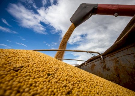Preço da soja sobe e exportação de março bate recorde no Brasil
