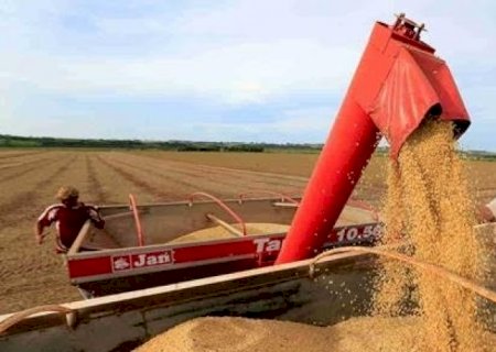 Estados Unidos compram soja brasileira após safra recorde e queda de preço