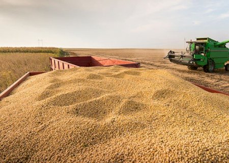 Exportações do Mato Grosso do Sul registrou faturamento de US$ 2 bi, puxadas pelo milho, celulose, soja e carnes