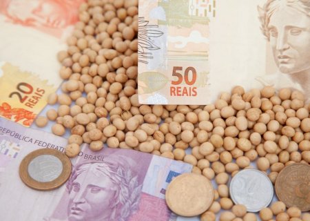 Preços da soja aumentam por câmbio favorável. Vendas são registradas