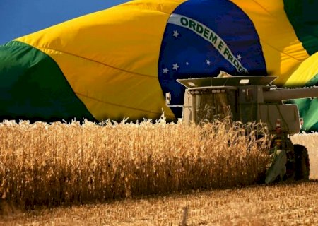 Um estado brasileiro produz mais soja do que toda a Argentina