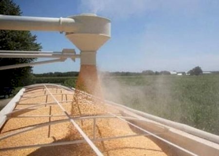 Milho 2ª safra deve atingir recorde e somar 97,17 milhões de toneladas