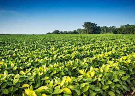 Valor Bruto da Produção Agropecuária de 2023 é estimado em R$ 1,216 trilhão