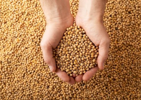 Aprosoja Brasil pede medidas do governo para socorrer produtores