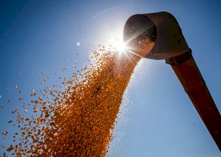 Com RTRS, agro sustentável atinge a marca de 6 milhões de toneladas de soja