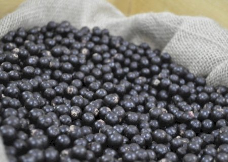 Brasil contabiliza a abertura de 20 mercados para produtos do agro em 2023