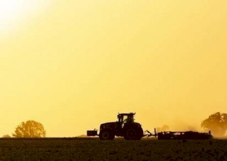 Preços agrícolas continuam a cair no campo e no varejo