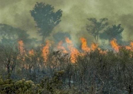 Queimadas na Amazônia aumentam 65% de janeiro a abril, para 1,3 mi de há